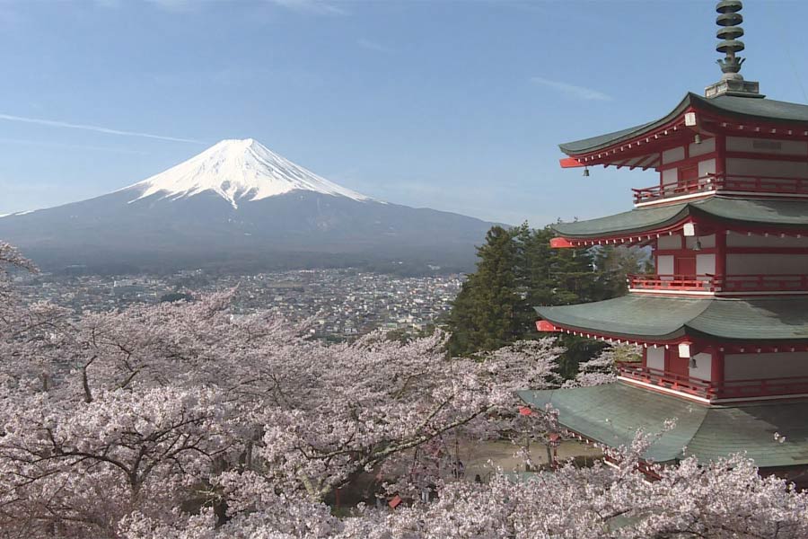 富士河口湖エリア