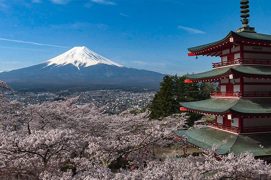 富士河口湖エリア