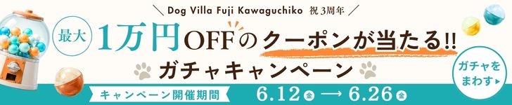 ガチャキャンペーンバナー